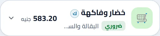 عملية الشراء نفسها في سجل من أنشأ الدفتر: ٦٢٠٫٣٤ جنيهًا
